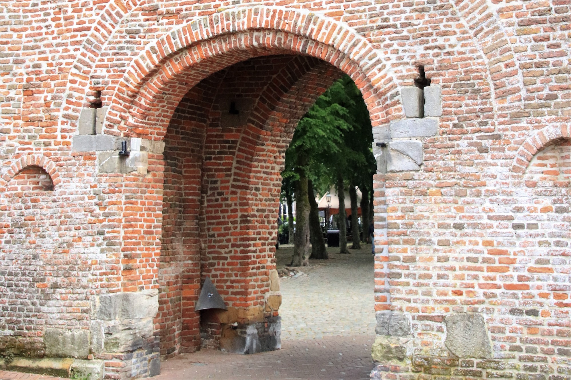 banner_picture