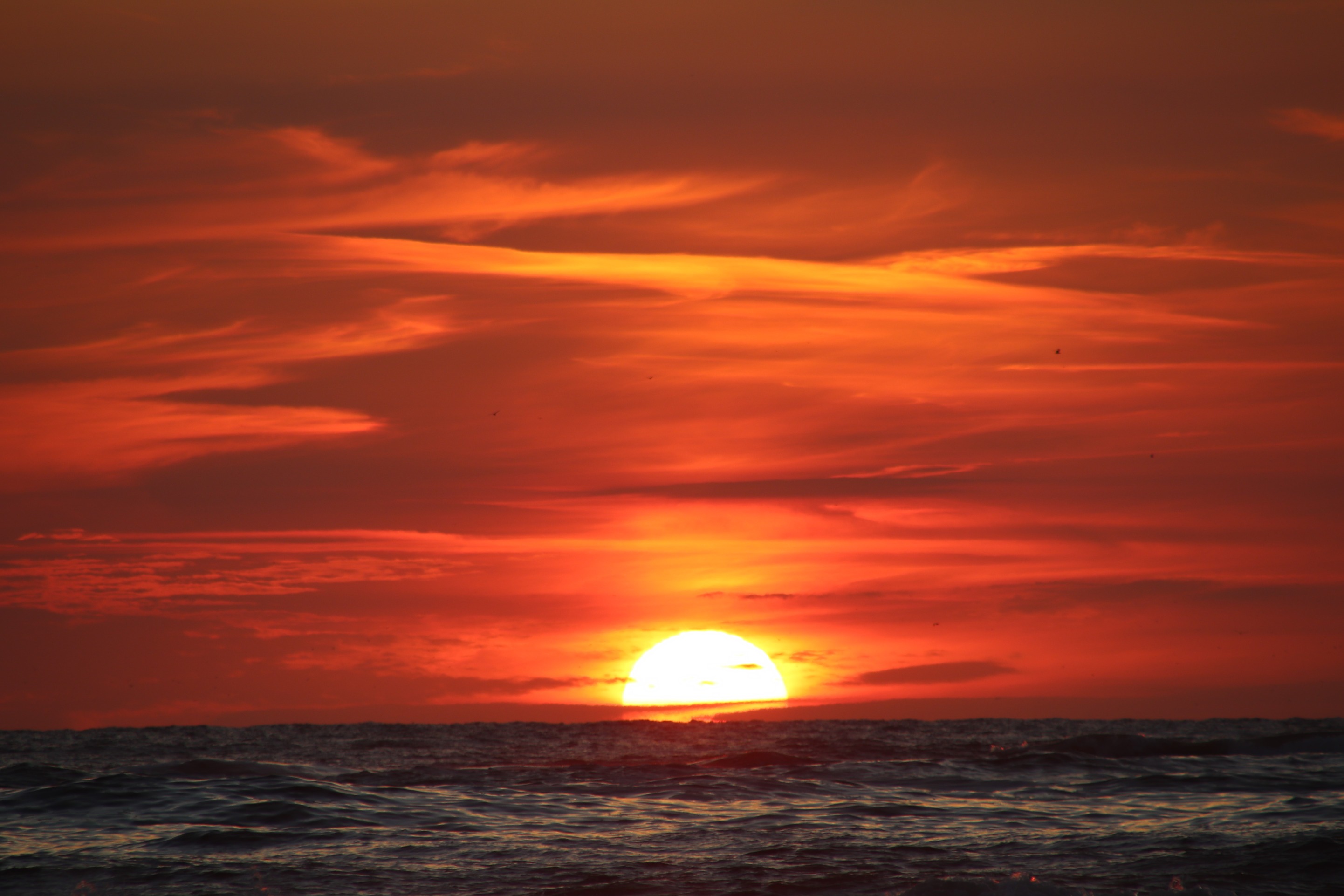 banner_picture