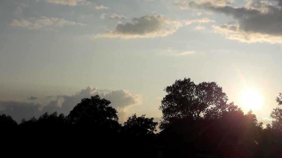 banner_picture