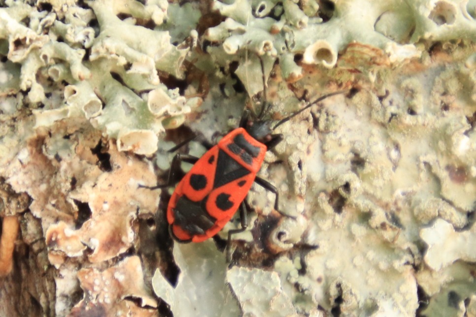 banner_picture
